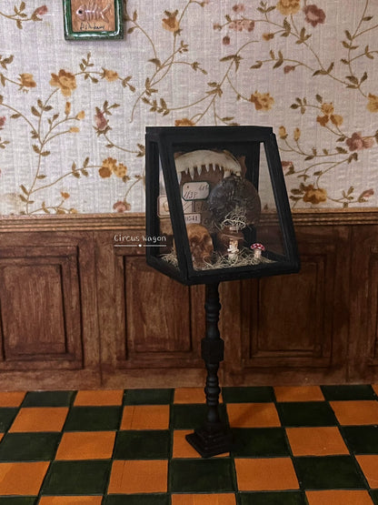 Meuble en bois miniature pour maison de poupée, échelle 1:12, vitrine paléontologique noire