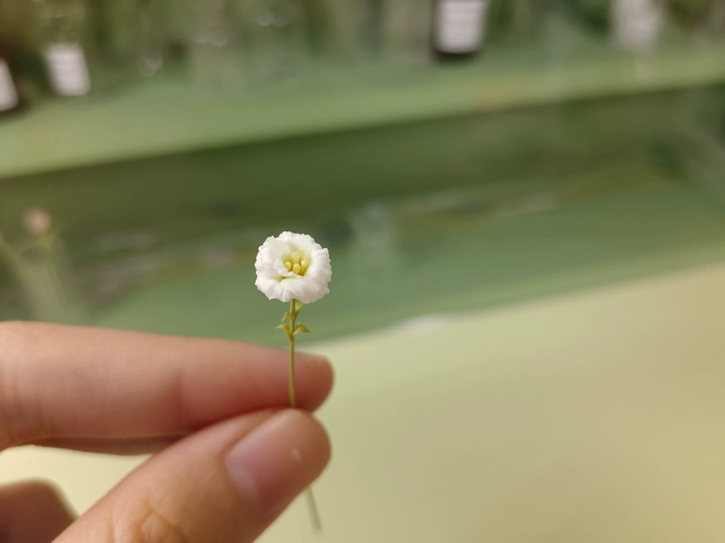 1:6 Scale Miniature Clay Flower Dollhouse Decor BJD Blythe Ob Accessory