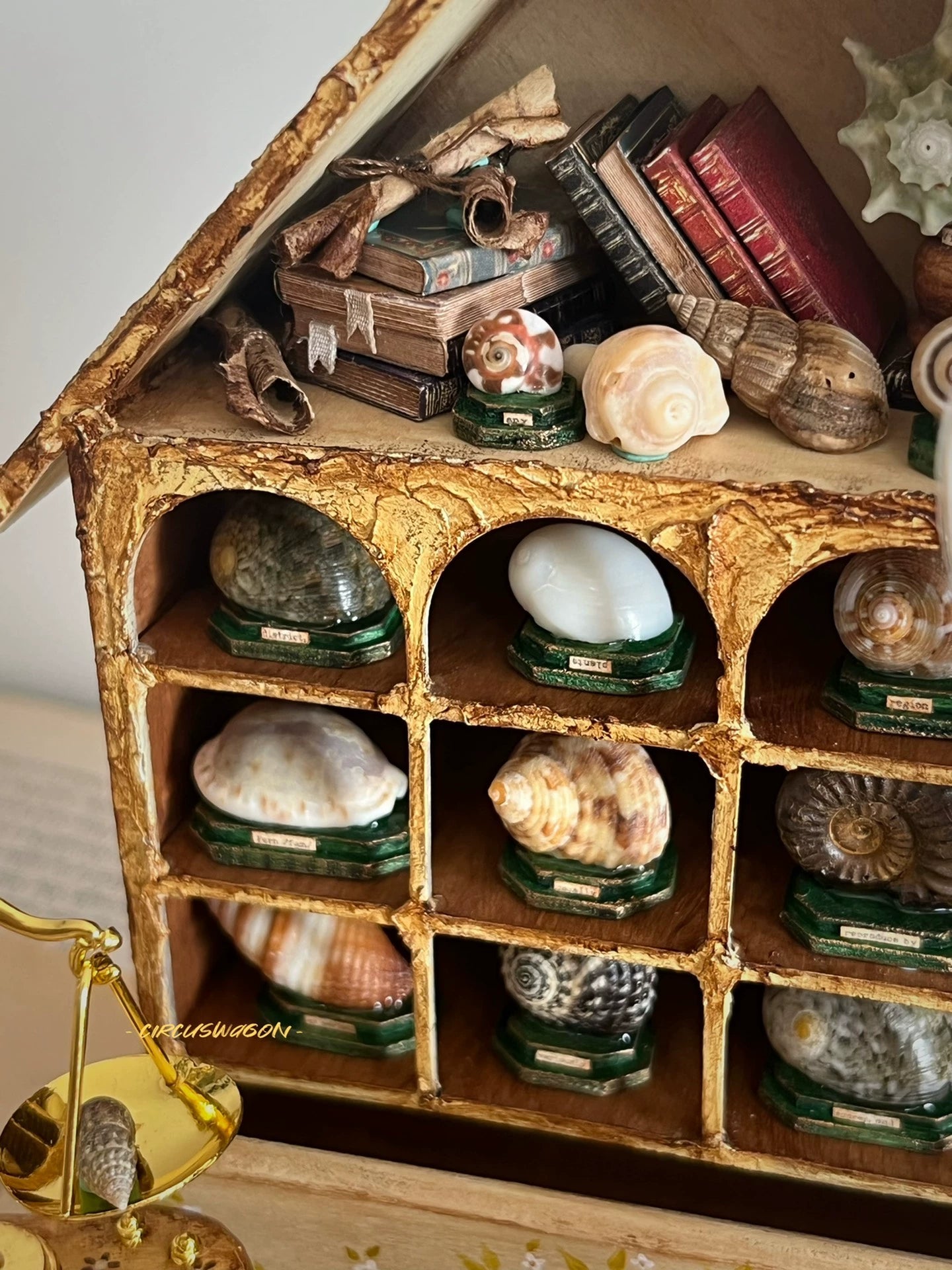 1:12 Scale Miniature Shell Collector Cabinet Miniature Dollhouse Furniture