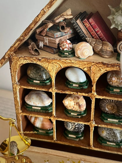 1:12 Scale Miniature Shell Collector Cabinet Miniature Dollhouse Furniture