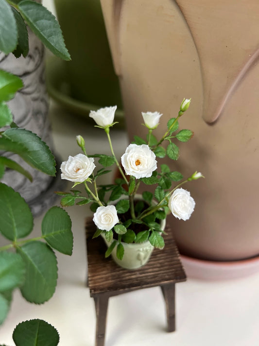 1:6 Scale Miniature White Burgundy Rose Potted Plant For Blythe Dollhouse Decor