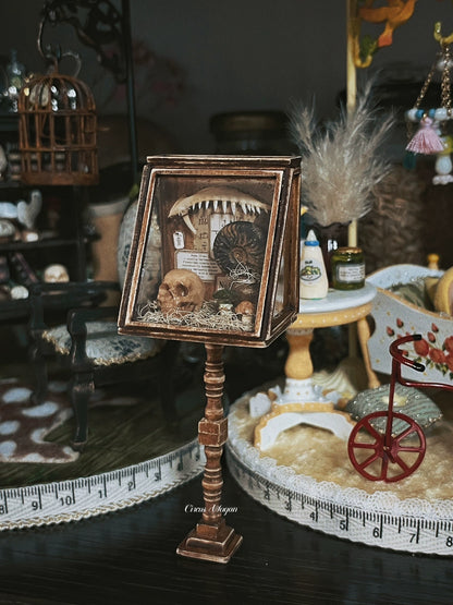 1:12 Scale Wooden Paleontology Specimen Cabinet Miniature Dollhouse Furniture