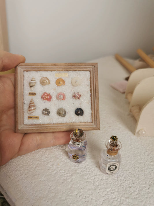 Miniatura de concha marina a escala 1:12 para decorar casas de muñecas BJD y Blythe.