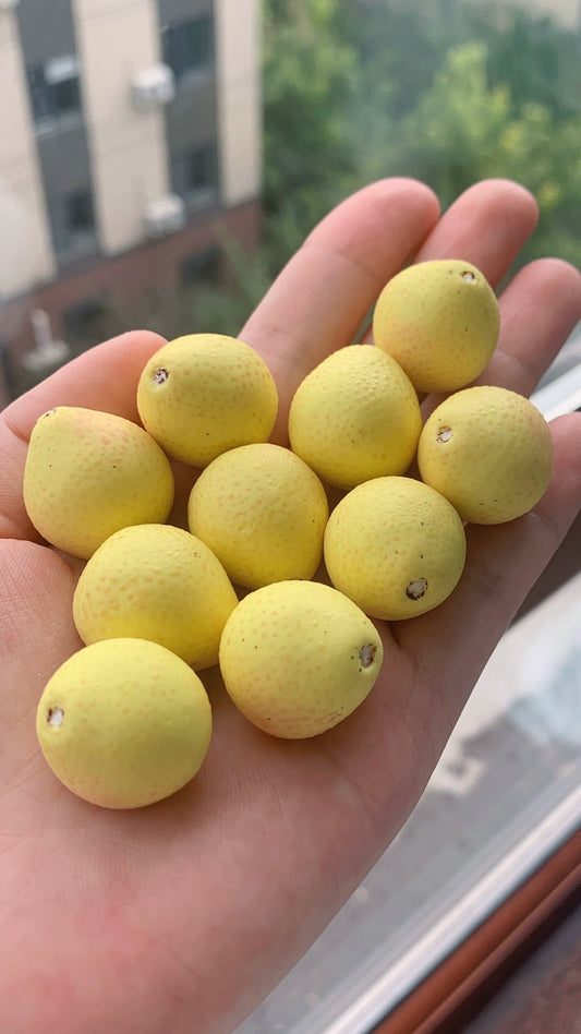 1:12 Scale Soft Clay Miniature Grapefruit With Peeled Section Miniature Dollhouse Food Accessory