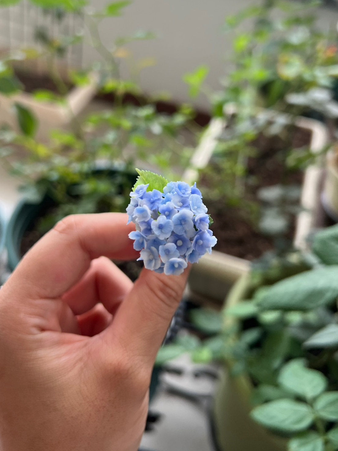 1:6 Scale Miniature Hydrangea Peacock Dollhouse Accessory For Blythe Dolls