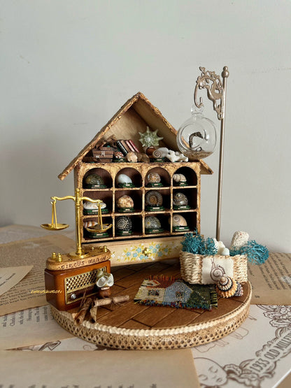 1:12 Scale Miniature Shell Collector Cabinet Miniature Dollhouse Furniture