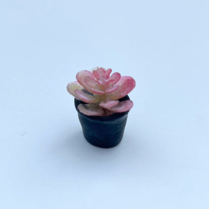 1:12 Scale Miniature Wooden Flower Stand With Potted Plants For Dollhouse Garden Scene BJD Furniture