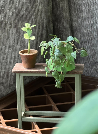 1:6 Scale Miniature Potted Philodendron Micans Plant For Blythe Dollhouse