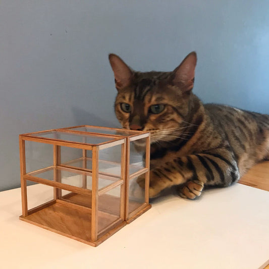 Mueble de madera para tartas a escala 1:6, mueble de casa de muñecas en miniatura para muñecas Blythe OB11