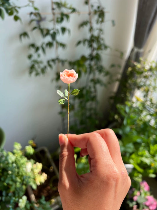 1:6 Scale Miniature European Rose Fox Rain Dollhouse Accessory For Blythe