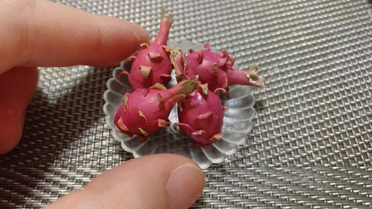 1:12 Scale Soft Clay Miniature Dragon Fruit For BJD OB11 Dollhouse Accessory