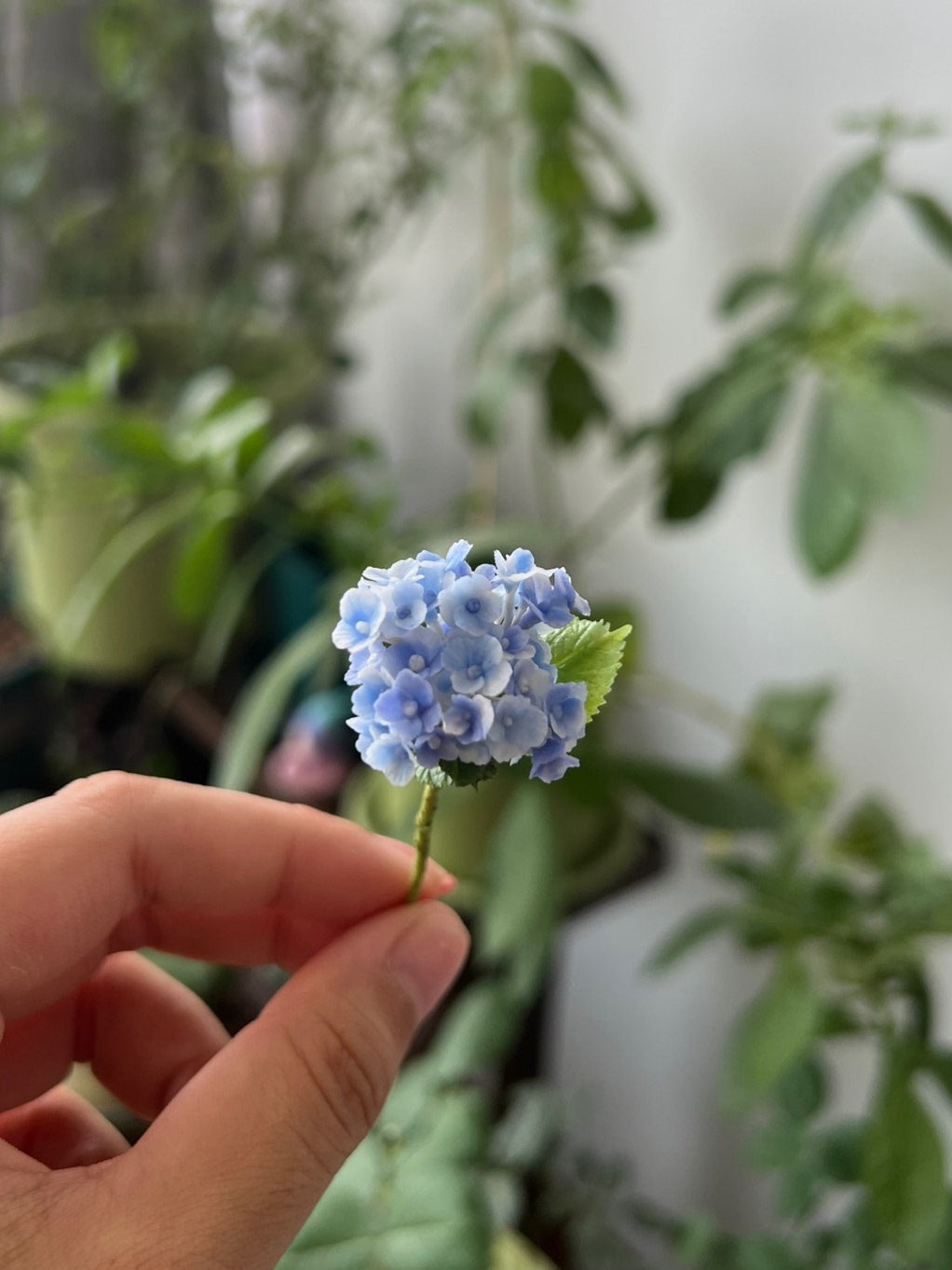 1:6 Scale Miniature Hydrangea Peacock Dollhouse Accessory For Blythe Dolls