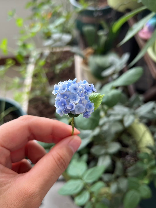 1:6 Scale Miniature Hydrangea Peacock Dollhouse Accessory For Blythe Dolls