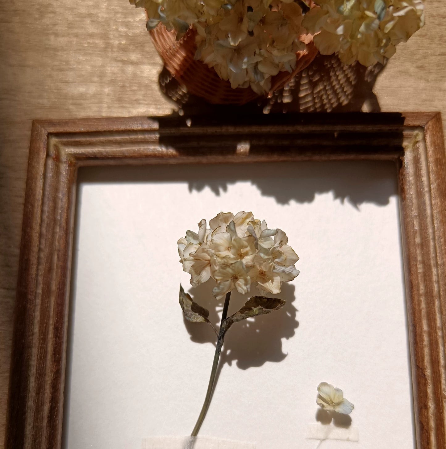 1:6 Scale Miniature Dried Hydrangea Clay Flower BJD Dollhouse Decor Blythe Accessory