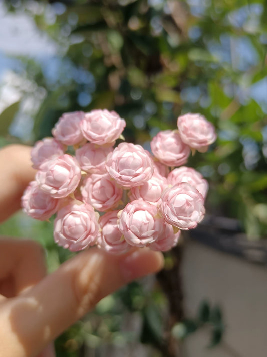 1:6 Scale Clay Rose Miniature Flower BJD Blythe Dollhouse Decor