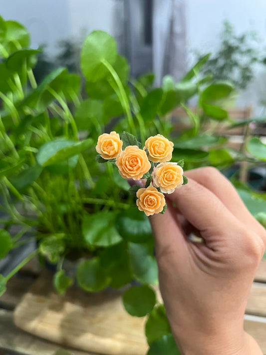 1:6 Scale Miniature Juice Balcony Rose For Blythe Dollhouse
