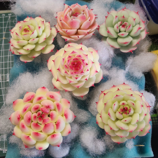 1:12 Scale Miniature Succulent Plant Clay Craft DIY Decoration