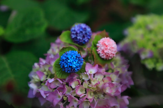 Handmade Clay Hydrangea Miniature Dollhouse Decor