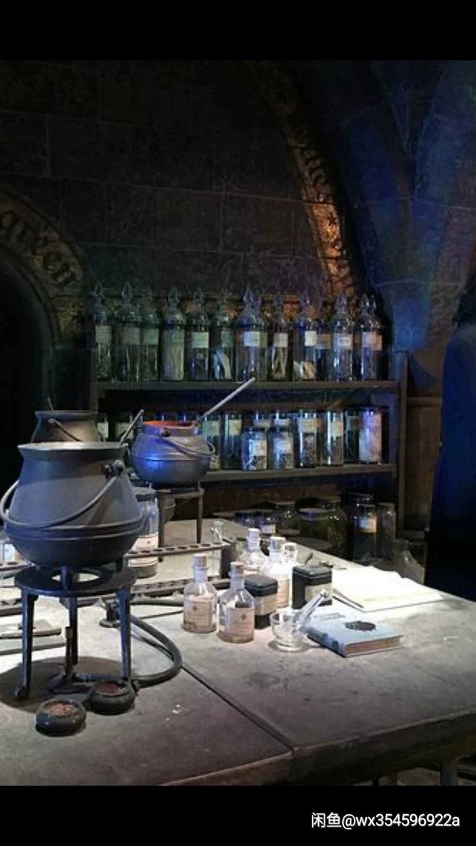 1:6 Scale Blythe BJD Harry Potter Scene Miniature Dollhouse Furniture