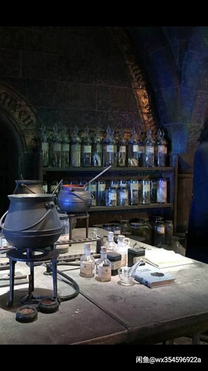 1:6 Scale Blythe BJD Harry Potter Scene Miniature Dollhouse Furniture