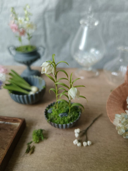 Bonsái de arcilla en miniatura a escala 1:12, decoración para casa de muñecas BJD Blythe