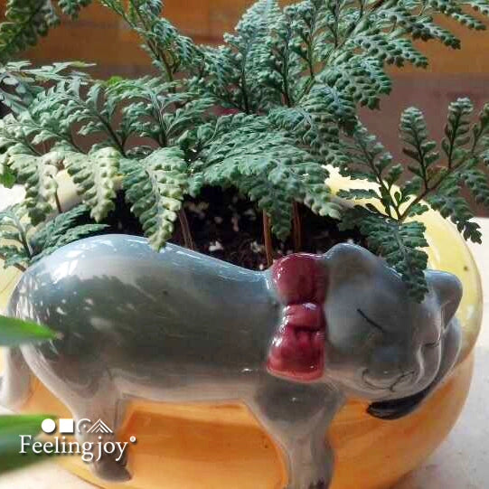 Cuenco de cerámica para gato durmiendo, pintado a mano, a escala 1:12, maceta en miniatura para suculentas, terrario de musgo, accesorio para casa de muñecas