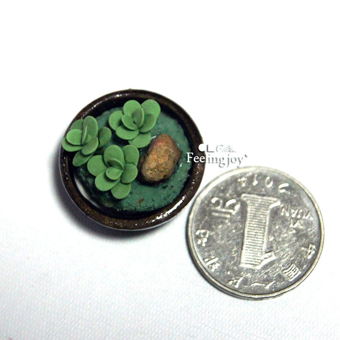 Casa de muñecas en miniatura a escala 1:12, accesorios para muñecas BJD, modelo de maceta con suculentas en miniatura