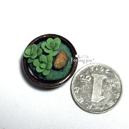 Casa de muñecas en miniatura a escala 1:12, accesorios para muñecas BJD, modelo de maceta con suculentas en miniatura