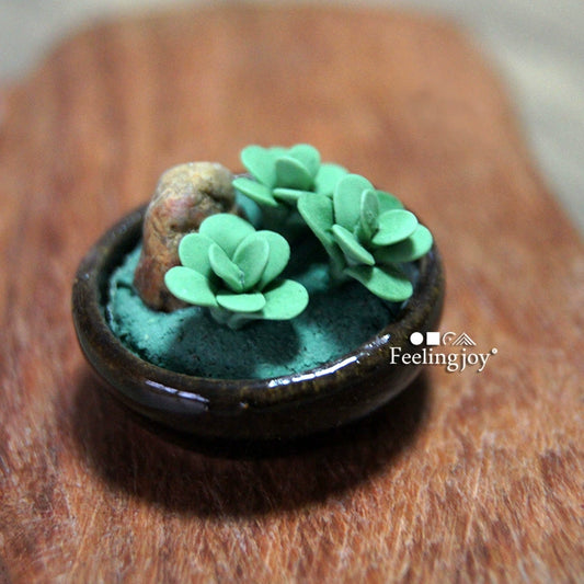 Casa de muñecas en miniatura a escala 1:12, accesorios para muñecas BJD, modelo de maceta con suculentas en miniatura